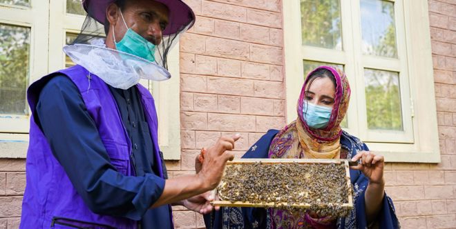 Livelihoods Waqf
